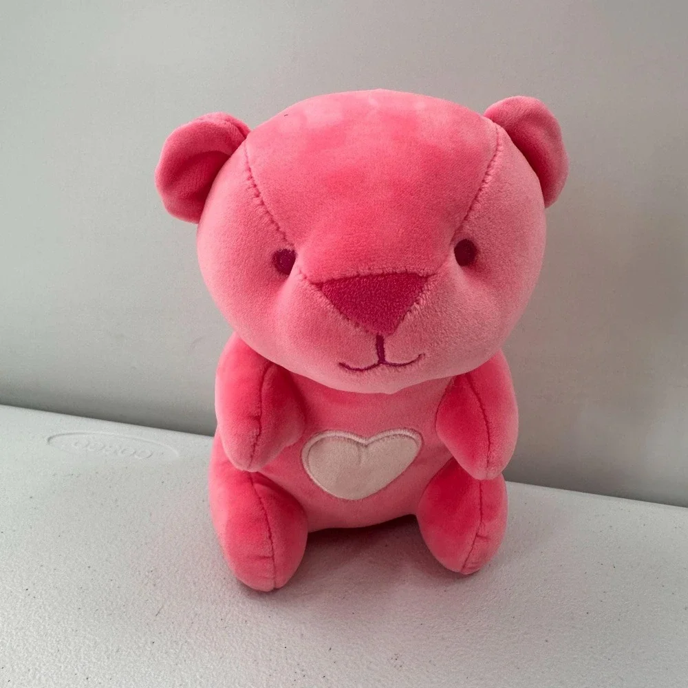Aurora Plush Pink Teddy‎ Bear & Chocolate Rose Box Gift Set Valentine Gift Love